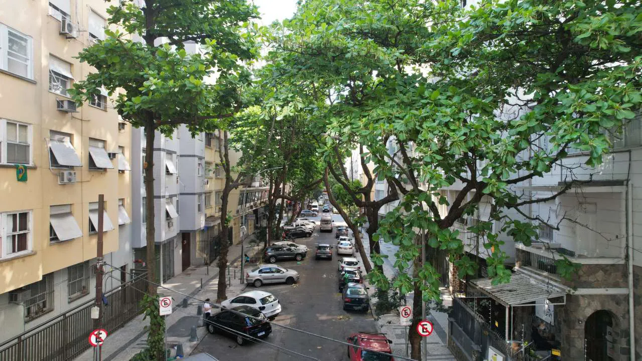 A rua em frente ao terreno vista do segundo andar, arborizada, com carros estacionados